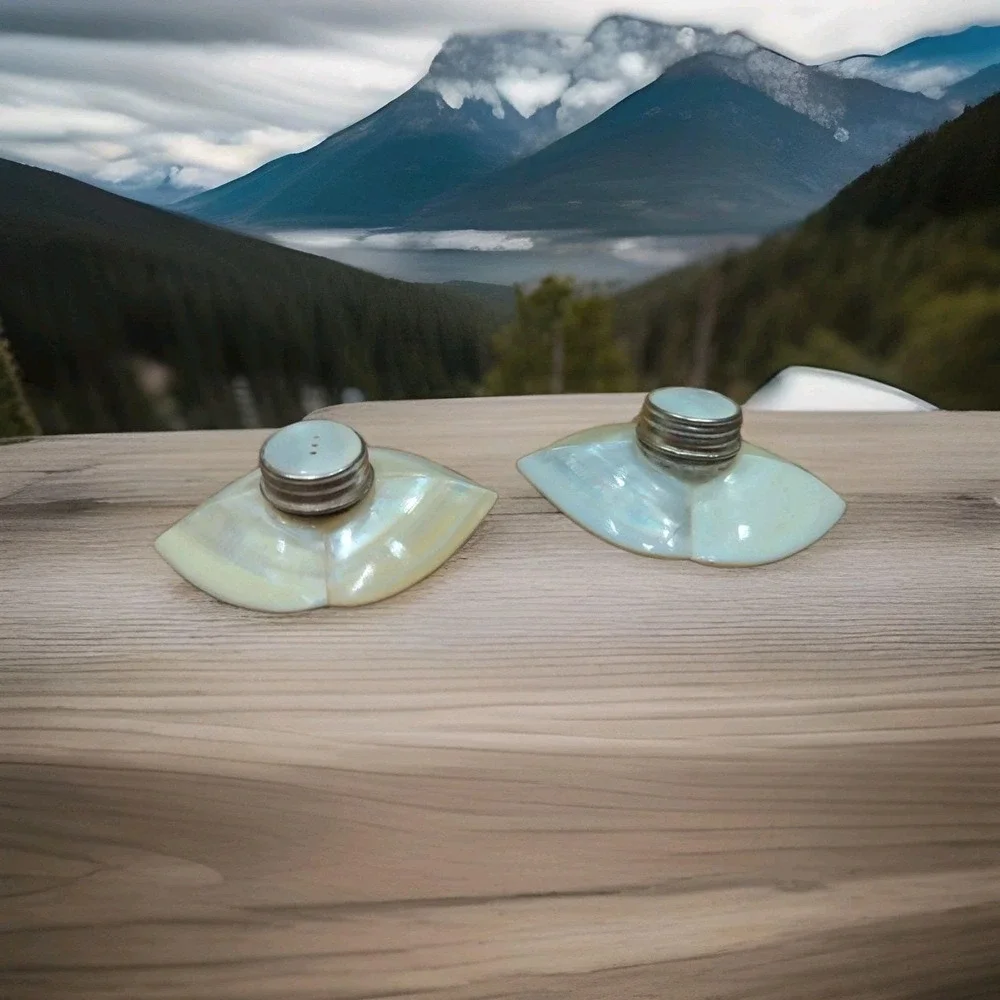 Beautiful Vintage Mother of‎ Pearl Shell Salt & Pepper Shakers OAK Handmade